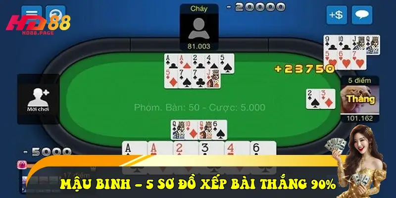 meo danh mau binh 695f73c61c58a